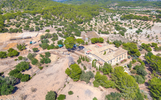 Investment project on huge 1 million m² plot between Paguera and Es Capdella